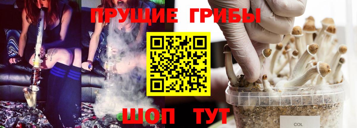 хочу   Вход с VPN  Кохма  Псилоцибиновые грибы MAGIC MUSHROOMS 